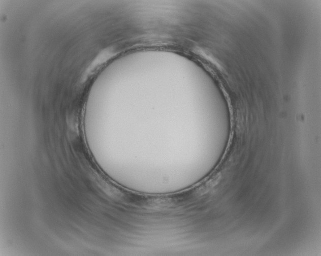 X0000074311451200609151955