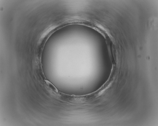 X0000074311453200609151955