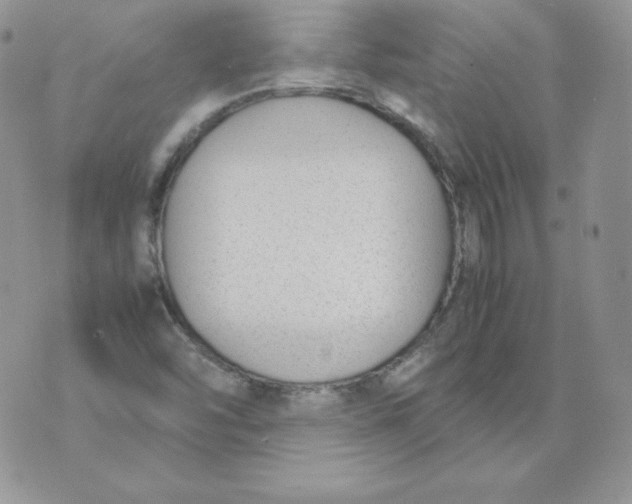 X0000074311454200609151955