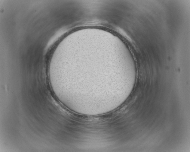 X0000074311456200609151955