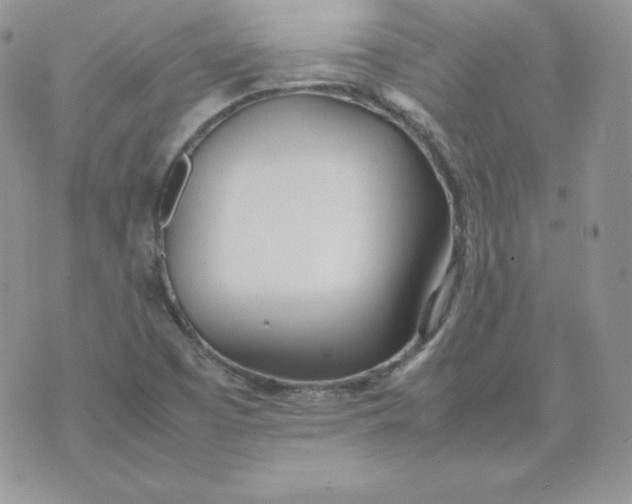 X0000074311457200609151955