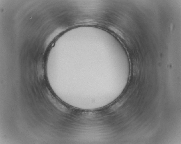 X0000074311458200609151955