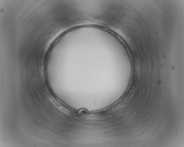 X0000074311460200609151955