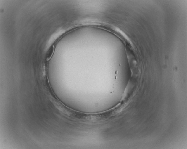 X0000074311461200609151955