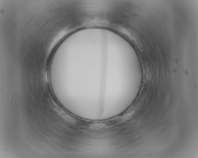 X0000074311462200609151955