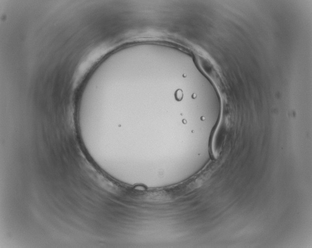 X0000074311464200609151954