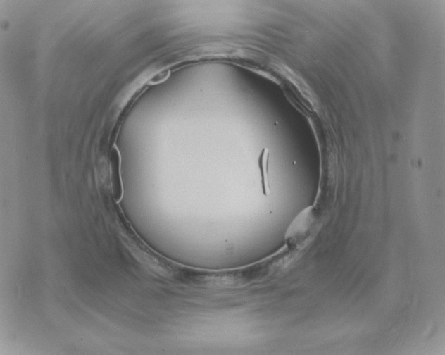 X0000074311465200609151954