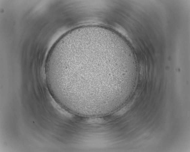 X0000074311466200609151954