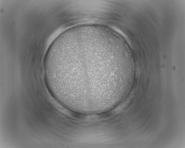 X0000074311467200609151954