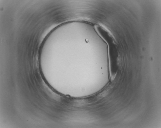 X0000074311468200609151954