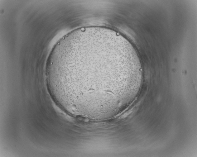 X0000074311471200609151954