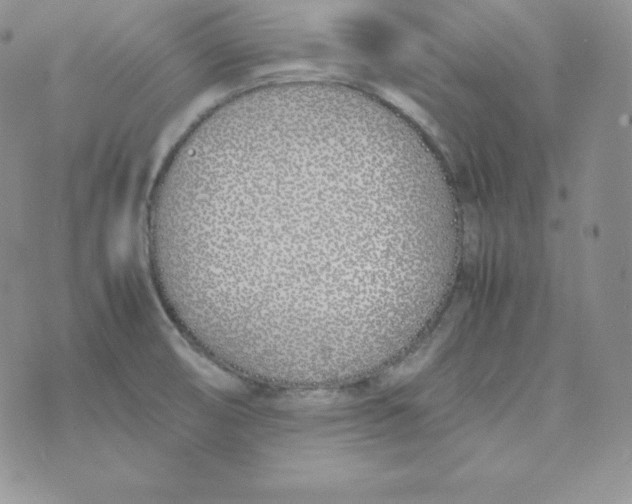 X0000074311474200609151954