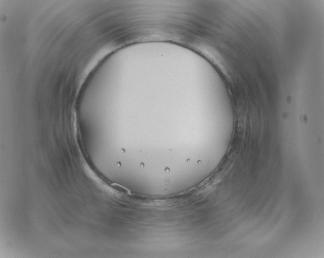 X0000074311476200609151954