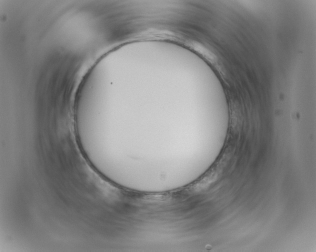 X0000074311478200609151954