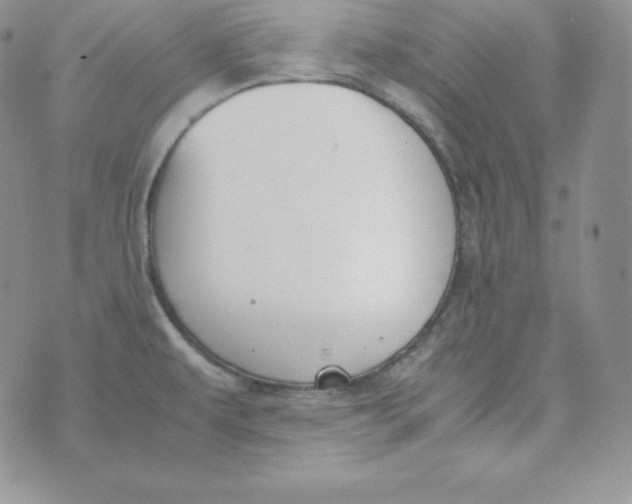 X0000074311479200609151954