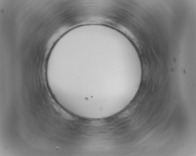 X0000074311480200609151954