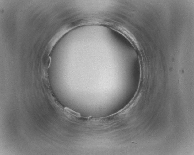 X0000074311481200609151954