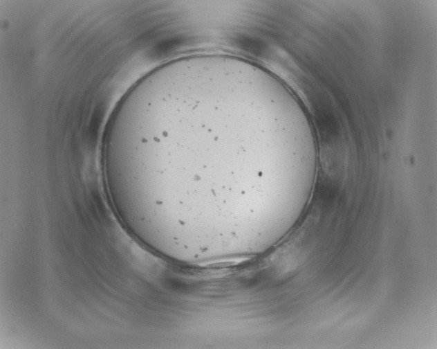 X0000074311482200609151954