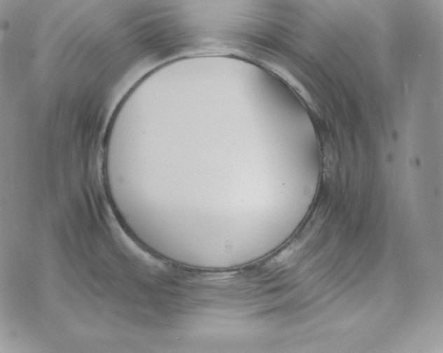 X0000074311484200609151954