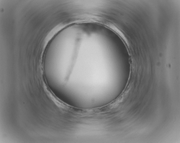 X0000074311485200609151954