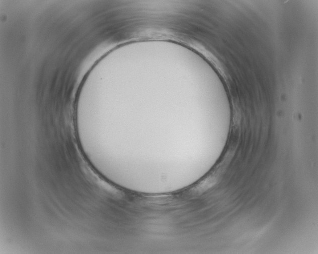 X0000074311486200609151954