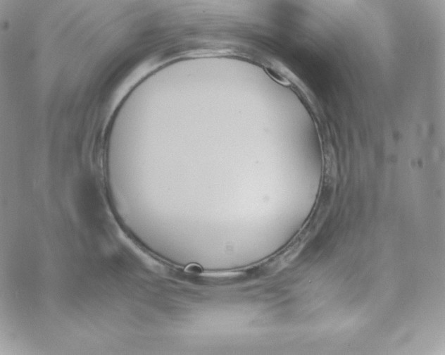 X0000074311487200609151954