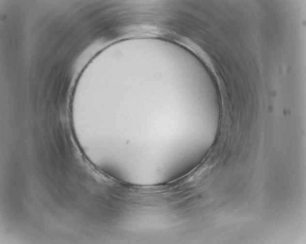 X0000074311488200609151954