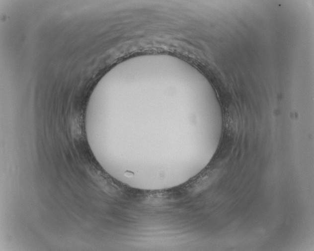 X0000074311490200609151953