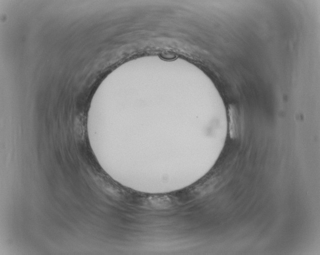 X0000074311491200609151953