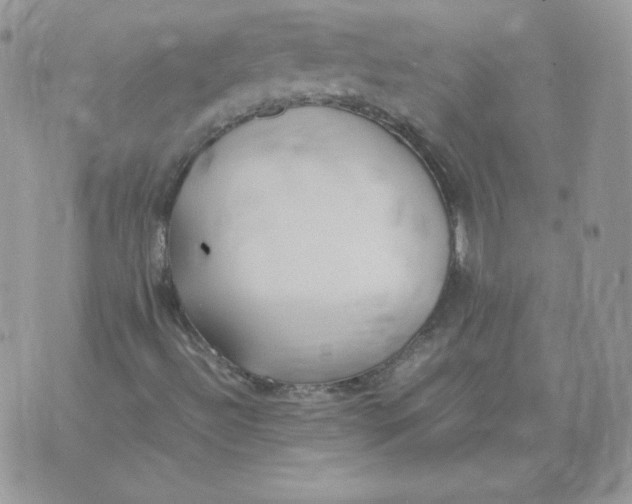 X0000074311492200609151953