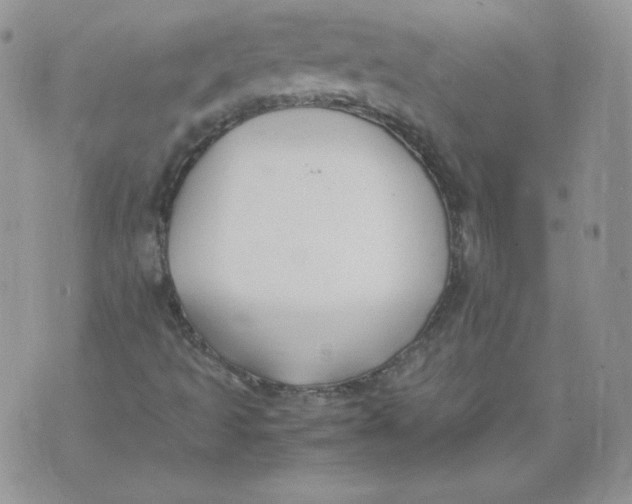 X0000074311493200609151953