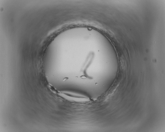 X0000074311494200609151953