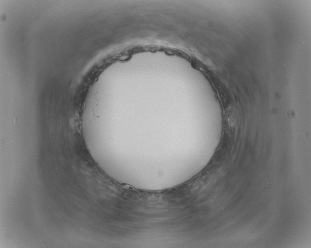 X0000074311495200609151953