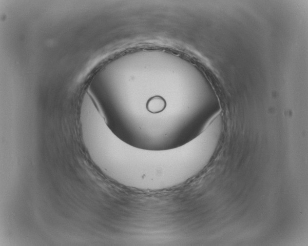 X0000074311496200609151953