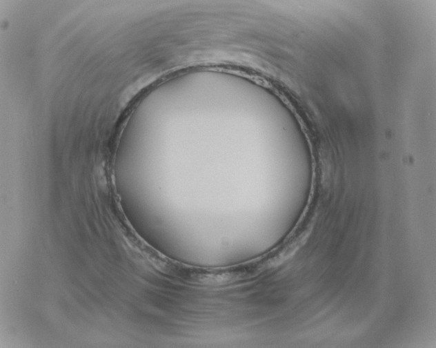 X0000074311497200609151953