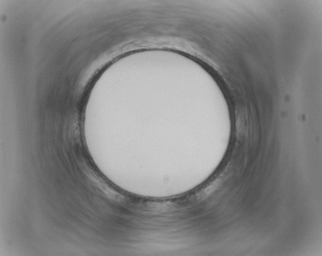 X0000074311498200609151953