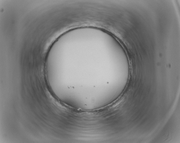 X0000074311500200609151953