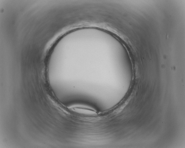 X0000074311502200609151953