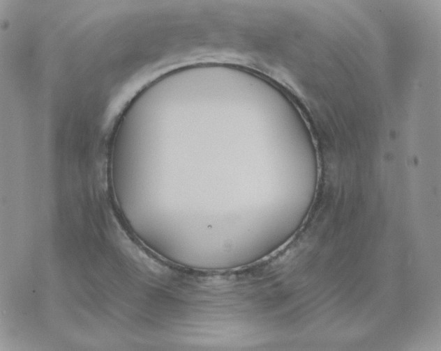 X0000074311504200609151954