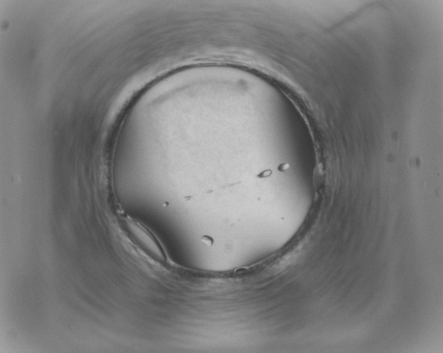 X0000074311506200609151954