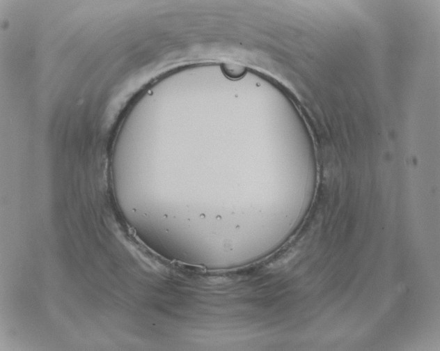 X0000074311507200609151954