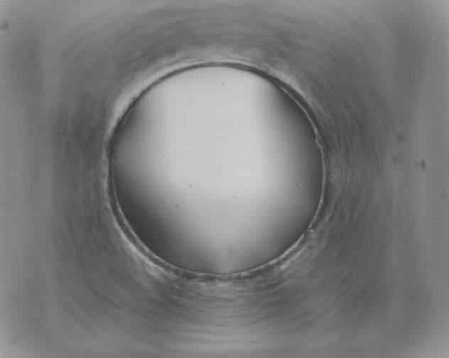 X0000074311508200609151954