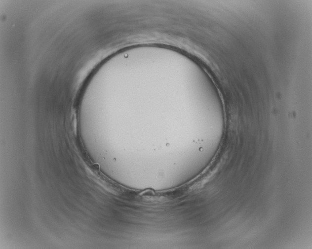 X0000074311509200609151954