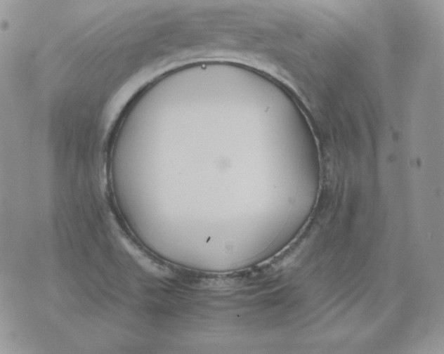 X0000074311511200609151954