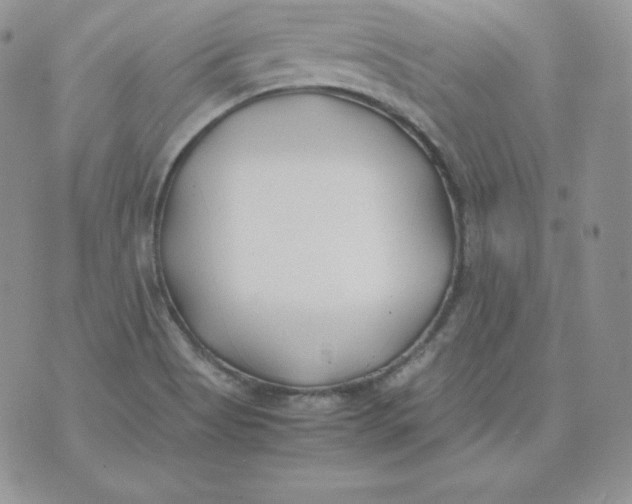 X0000074311513200609151954