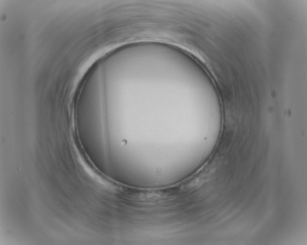 X0000074311515200609151954