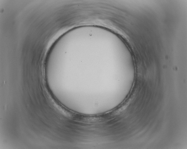 X0000074311517200609151954