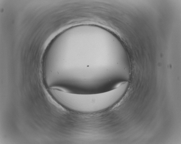 X0000074311518200609151954