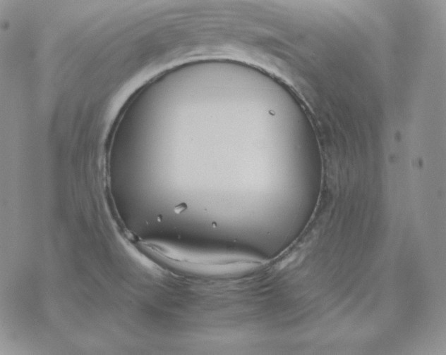 X0000074311519200609151954