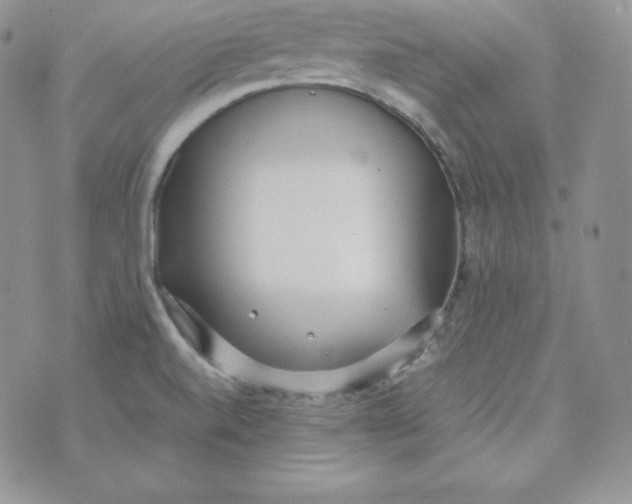 X0000074311520200609151954